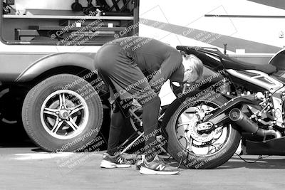 media/Mar-13-2022-SoCal Trackdays (Sun) [[112cf61d7e]]/Around the Pits/